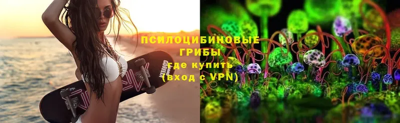 Псилоцибиновые грибы Psilocybe  Бакал 